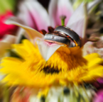 JAN_5291-Edit-Edit